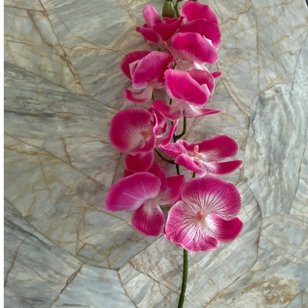 Fuchsia Pink Artificial Orchid Stem Realistic Silk Phalaenopsis Floral Decor